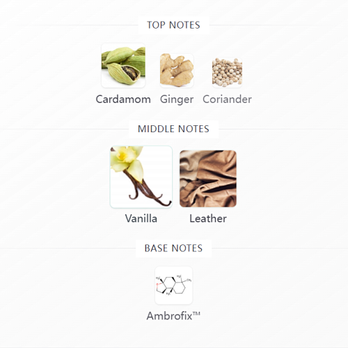 Eau d'Ombré Leather Tom Ford 100ML