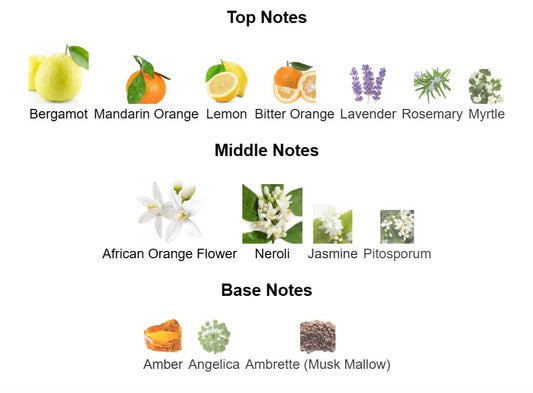 Neroli Portofino Tom Ford