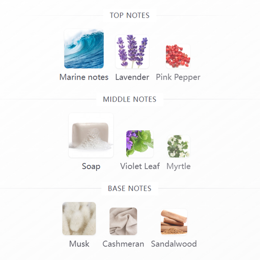 Invictus Parfum Rabanne 100ML