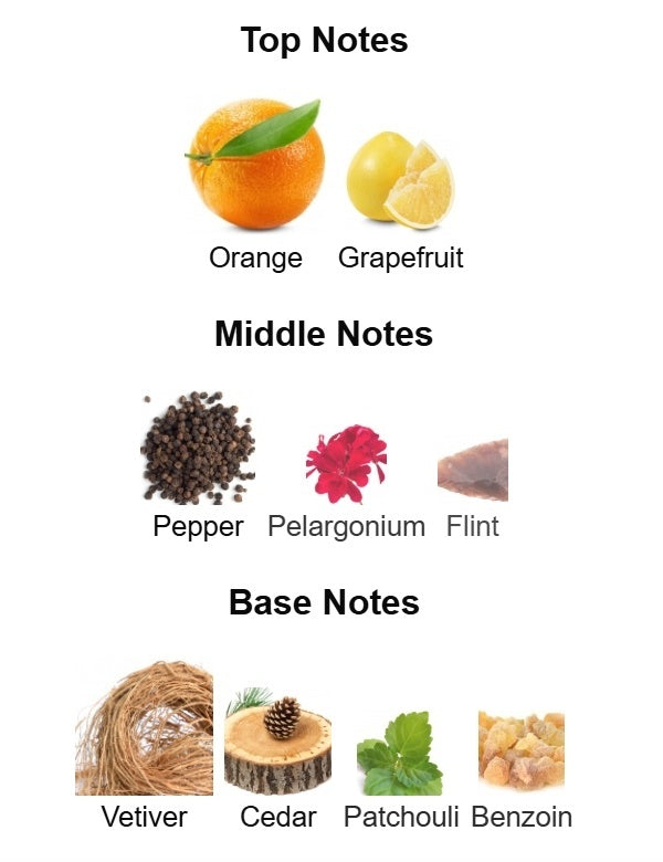 Terre d'Hermès Hermès 100ML