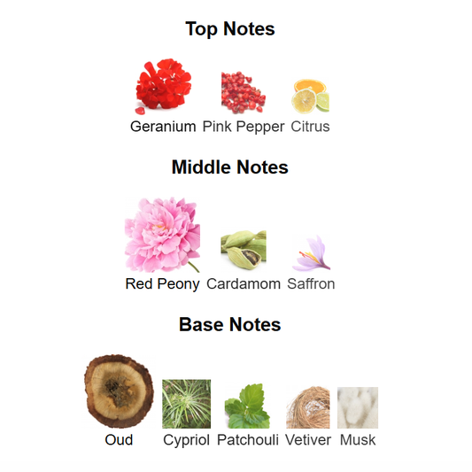 Oud Voyager Tom Ford 100ml